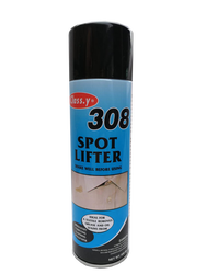 Class.y 308 - Leke Çıkarıcı Sprey